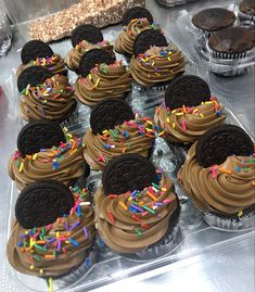 chocolate cupcakes with oreo cookies and sprinkles are on display