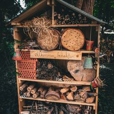 a wooden shelf filled with lots of different types of logs and other things next to a tree