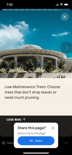 an iphone screen with the text low maintenance trees choose trees that don't drop leaves or need much pruning