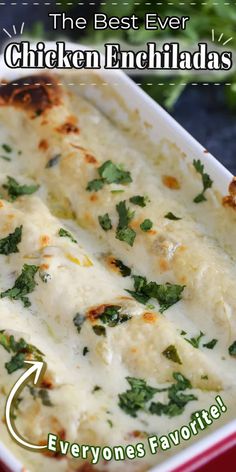 the best ever chicken enchiladas are everyone's favorite and easy to make