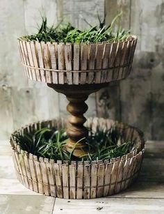 two wooden bowls with plants growing out of them