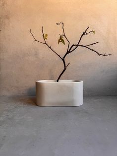 a white vase with a branch in it