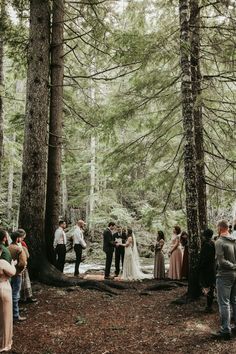 a group of people standing in the woods