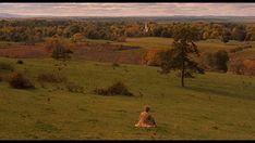 a person sitting in the middle of a grassy field with trees and mountains in the background