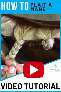 the video shows how to plait a mane