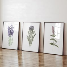 three framed flowers are sitting on the floor in front of a white wall and wooden floors