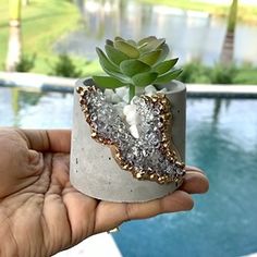 Shop Original Art | Opulux Designs Mini Ecosystem, Concrete Garden Ornaments, Jewelry For Him, Cement Diy, Concrete Diy Projects, Cement Art, Concrete Lamp, Concrete Sculpture, Concrete Pots