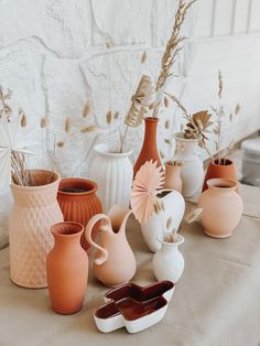 a table topped with vases filled with different types of flowers and plant life next to each other