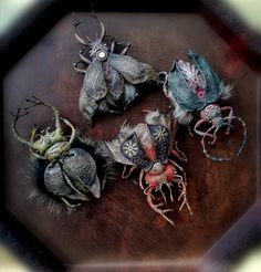 four dead bugs on a wooden table with their heads turned to look like they are dying