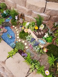 a miniature garden is shown in the shape of a fairy's house with lots of plants and rocks