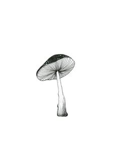 a black and white drawing of a mushroom