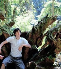 a young man sitting on top of a tree stump in the middle of a forest