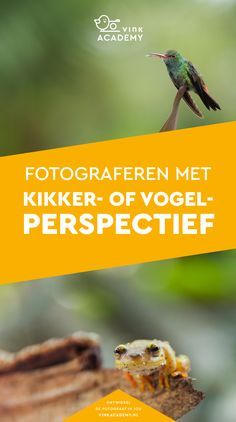 a bird sitting on top of a piece of wood with the words fotografern met kiker - of vogel perspectie