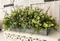 a planter filled with green plants sitting on top of a white shelf next to a wooden door