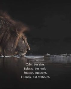 a lion drinking water from a lake with a quote written on it that reads calm, but alert, relaxed, but ready smooth, smooth, but sharp, humble, but confident