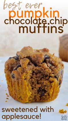 healthy chocolate chip pumpkin muffins with applesauce are the perfect treat for fall