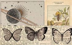 an old book with pictures of butterflies on it and the words,'science fiction'written