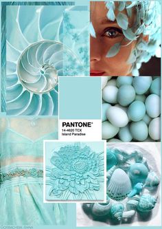 the pantone color is aqua and has shells, flowers, and seashells