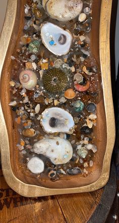 a wooden tray filled with lots of different types of seashells on top of a table