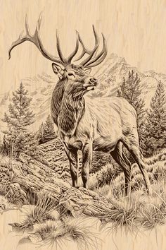 a drawing of an elk standing in the grass with mountains in the back ground behind it