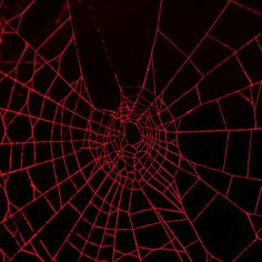 the inside of a spider web with red light