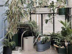 many potted plants are sitting on the sidewalk