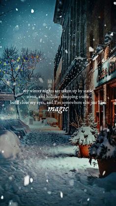 a snowy street with snow falling on the ground and buildings in the background, there is a quote from mary