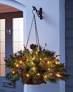 a potted plant hanging from the side of a house with christmas lights on it