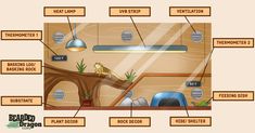 an illustrated diagram of the inside of a cave with all its features labeled in it