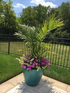 a large potted plant sitting on top of a stone floor next to a fence