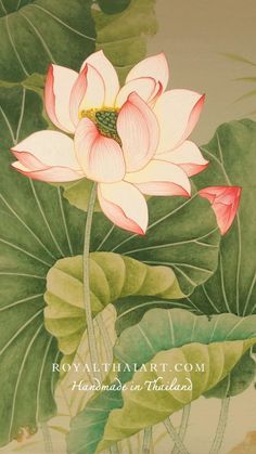 Lotus acrylic painting asian art Asian Lilies