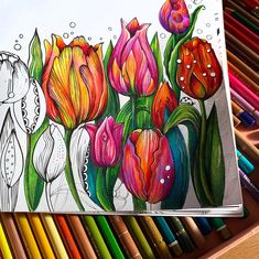 a drawing of flowers with colored pencils in the background