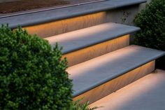 the steps are lit up at night in front of some bushes and trees with lights on them