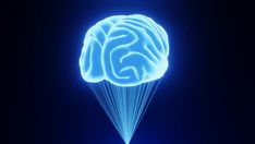 4K Hologram of Human Brain Sci-Fi HUD With Dark Background Loop Animation Loop Animation, Human Brain, Lungs, Dark Background, Interface Design, Dark Backgrounds, Brain, Sci Fi, Human