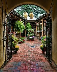 an archway leading into a garden filled with potted plants