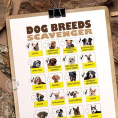 a dog breeds scavenger poster on a clipboard with the names of dogs