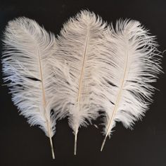 three white feathers on a black background with one feather still attached to the other side