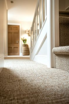 wall-to-wall-carpet-ideas Sisal Look Carpet, Living Room With Carpet Floors, Carpeted Living Room Ideas, Carpet For Basement, Carpet Types, Basement Carpet, Carpet Ideas, Carpet Living Room, Types Of Carpet