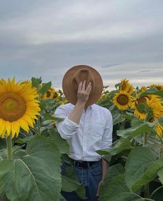 a man wearing a hat standing in a field of sunflowers