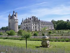 an old castle is in the middle of a field with lavenders and trees around it