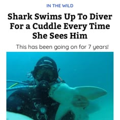 a person in the water with a shark on their back and text that reads, shark swims up to diver for a cuddle every time she sees him