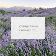 a field full of purple flowers with a quote written on the front and bottom corner