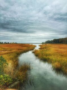 an image of a river running through the middle of a grass covered field with trees in the background