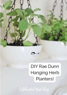 Rae Dunn bowls with fresh herbs that hang. Diy Hanging Herb Garden, Herb Garden Planter, Outdoor Herb Garden, Hanging Herb Garden, Diy Herb Garden, Herb Planters, Herb Pots