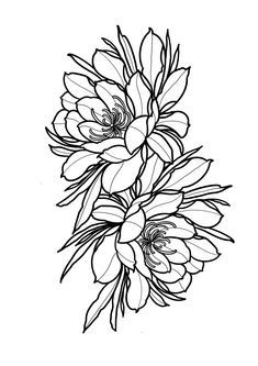 a black and white drawing of flowers