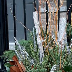 a planter filled with lots of plants next to a black door and windowsill