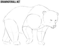 how to draw a bear step by step