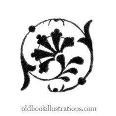 a black and white drawing of a flower on a white background with the words old book illustrations