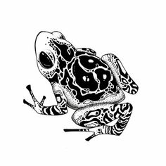 a black and white drawing of a frog