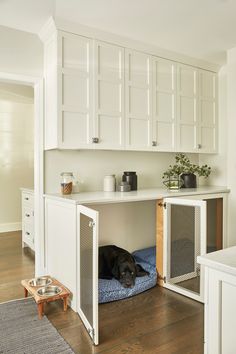 a black dog laying on top of a blue bed in a kitchen under cabinet doors